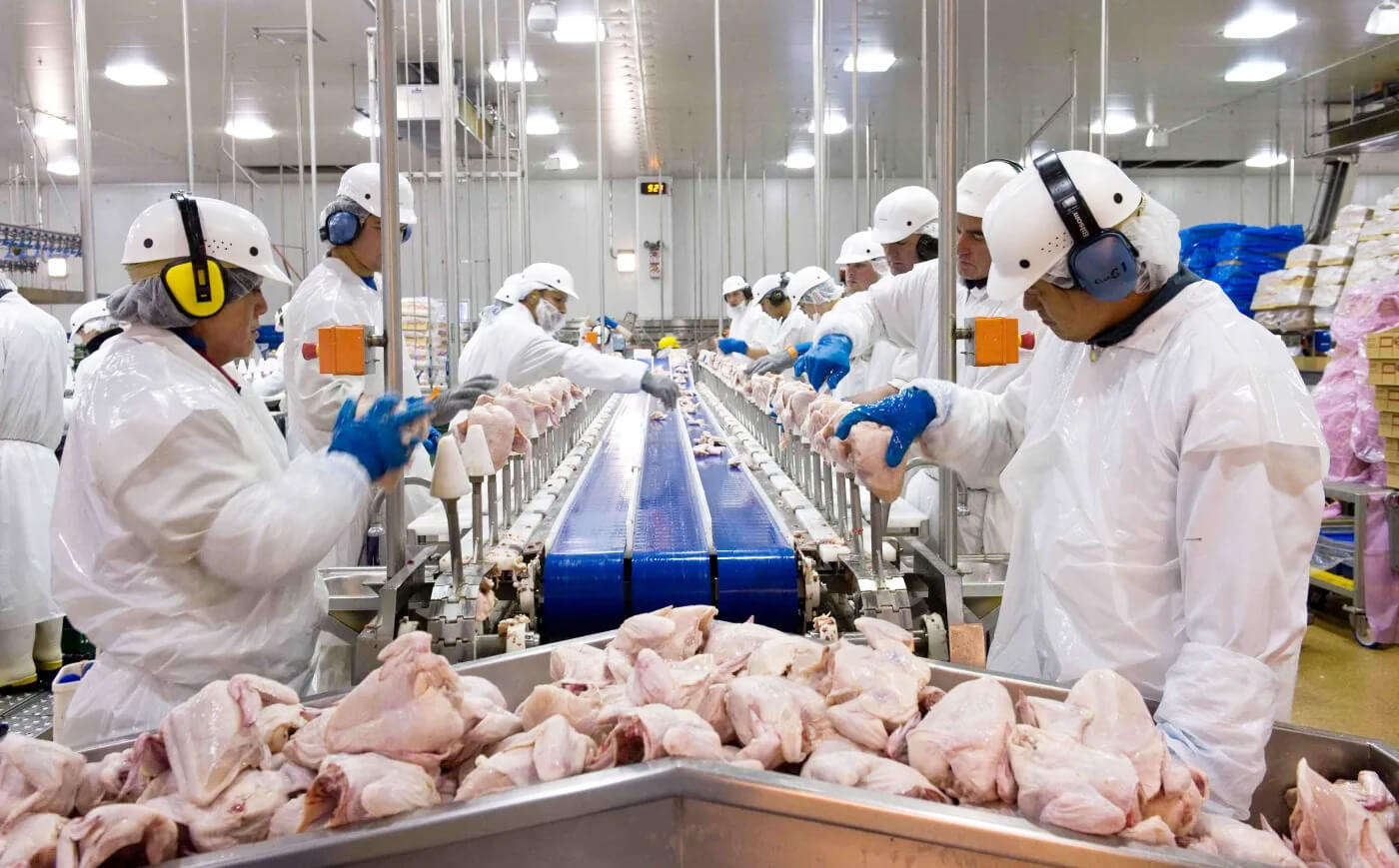 Capa União Europeia reconhece Brasil como país livre da gripe aviária