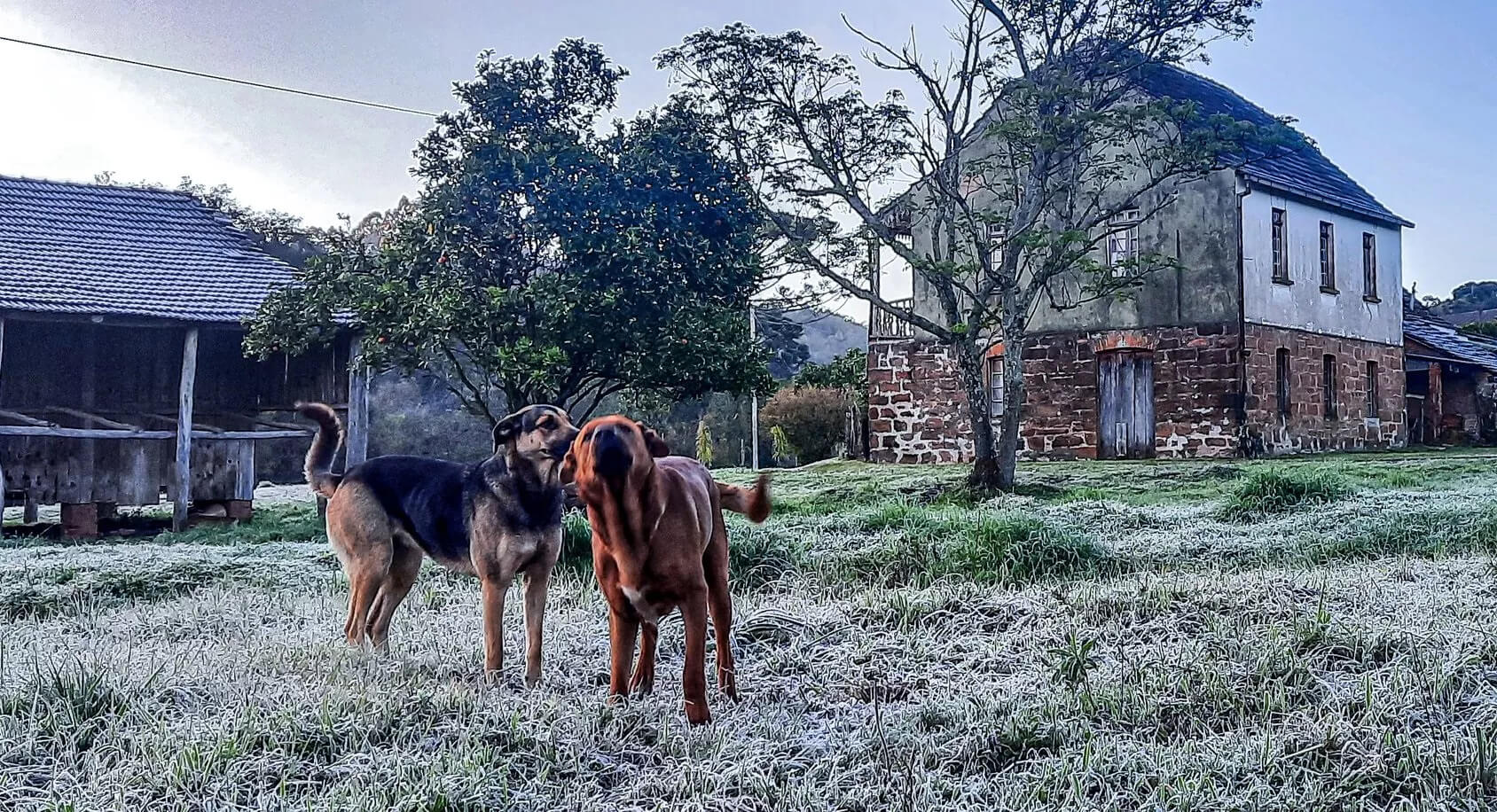 Capa Semana será de chuva e frio intenso no Rio Grande do Sul