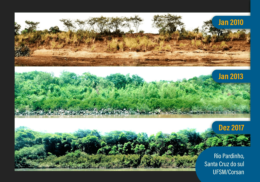 Capa Projeto da UFSM foca na engenharia natural para recuperar áreas degradadas pelas chuvas