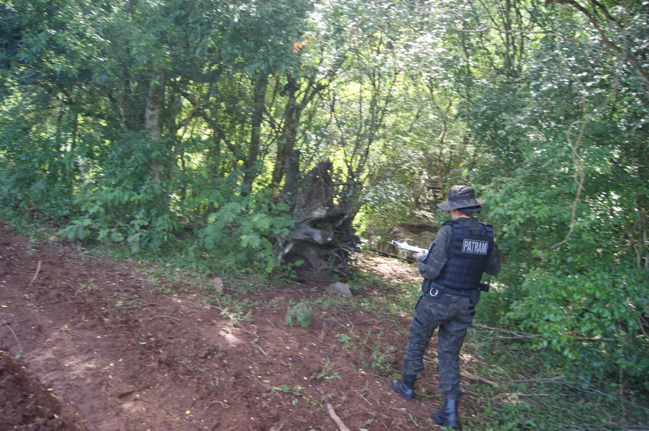 Capa Seberi: Morte de peixes é investigada pela PATRAM