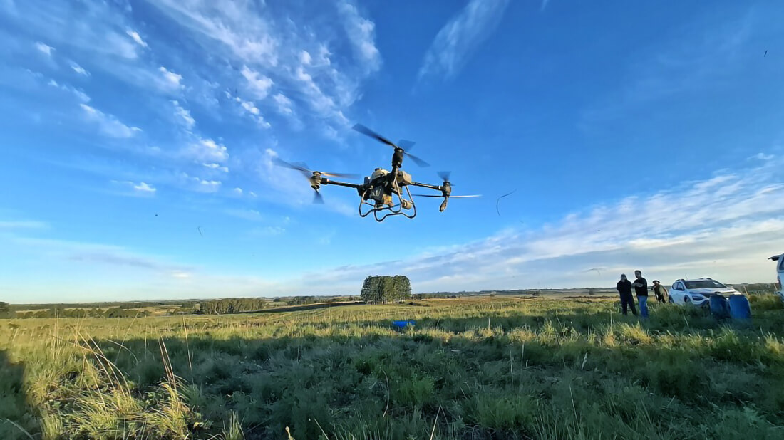 Capa Secretaria da Agricultura valida solução biológica inédita contra carrapato com aplicação por drone nas pastagens