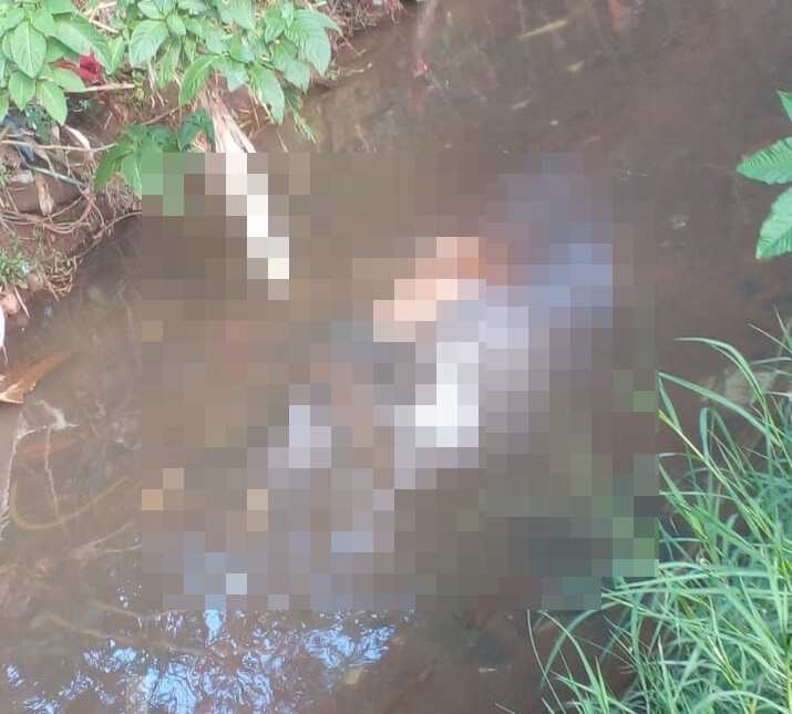 Capa Corpo é encontrado boiando em sanga em Palmeira das Missões