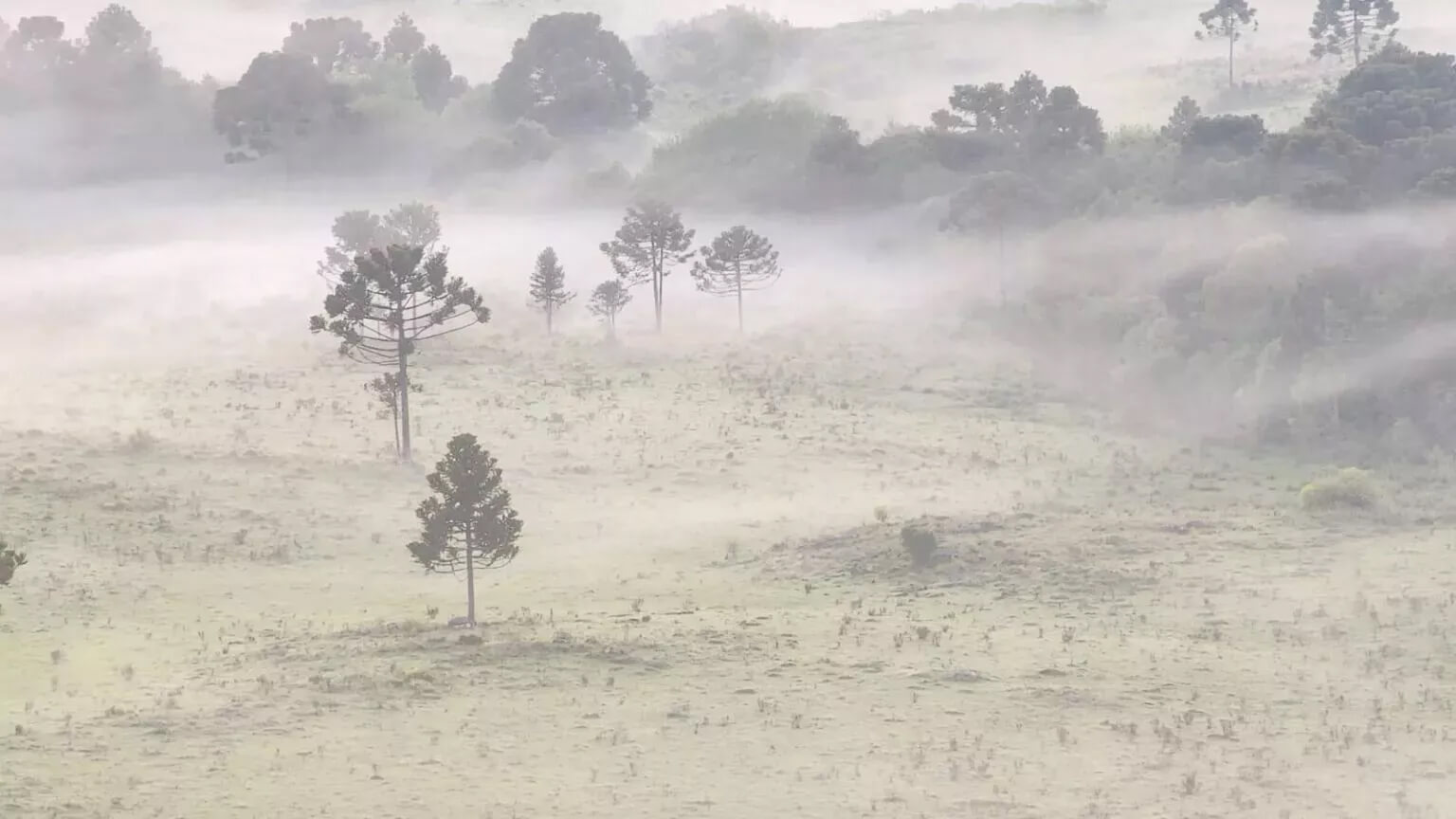 Capa Massa de ar seco traz frio ao Rio Grande do Sul