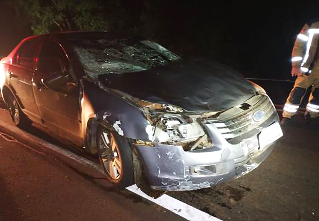 Capa Carro atropela boi na BR-472, em Boa Vista do Buricá