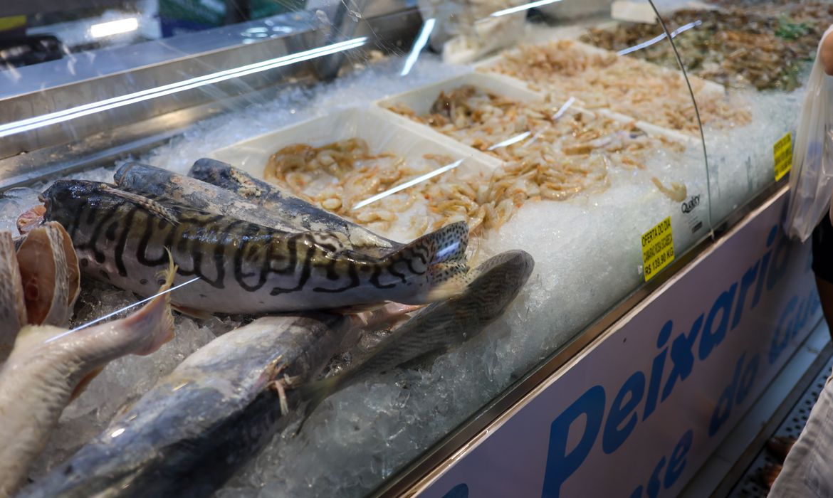 Capa Vigilância Sanitária orienta sobre compra de pescado na Semana Santa