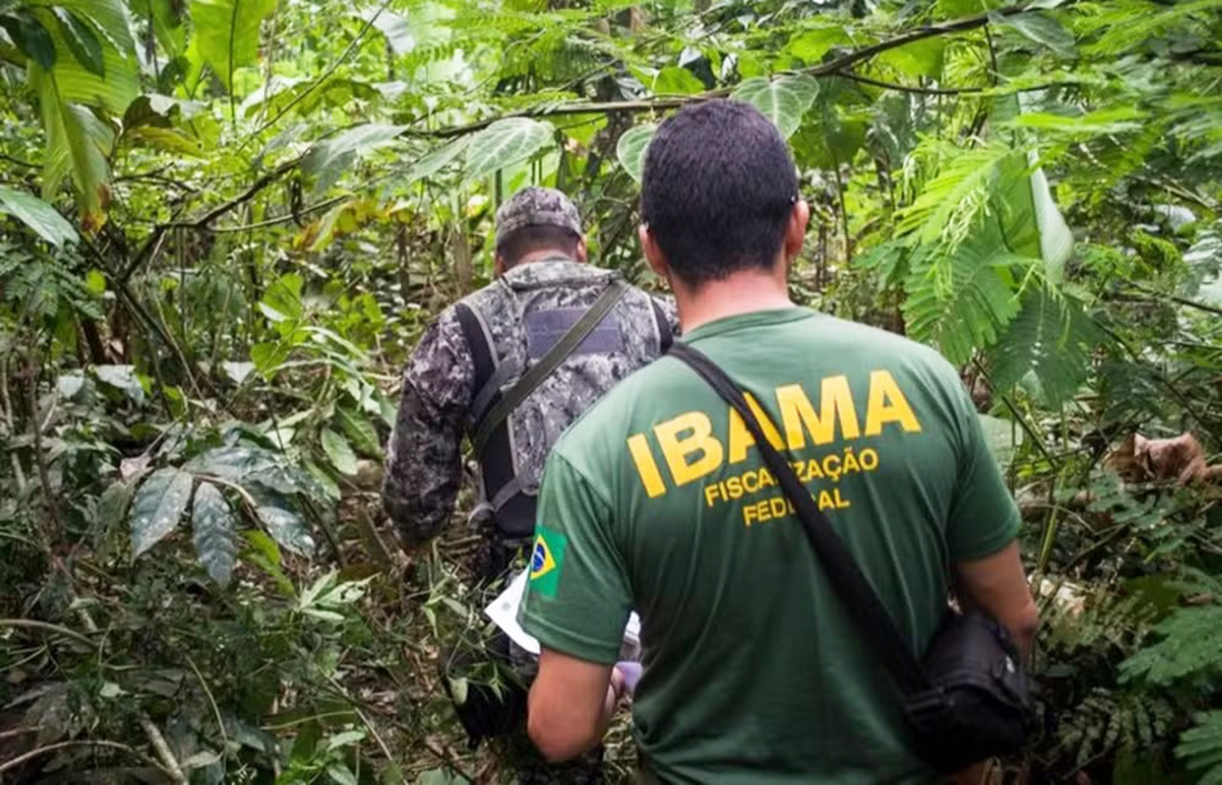Capa Ibama lança edital de concurso com salários que podem chegar a R$ 9,9 mil