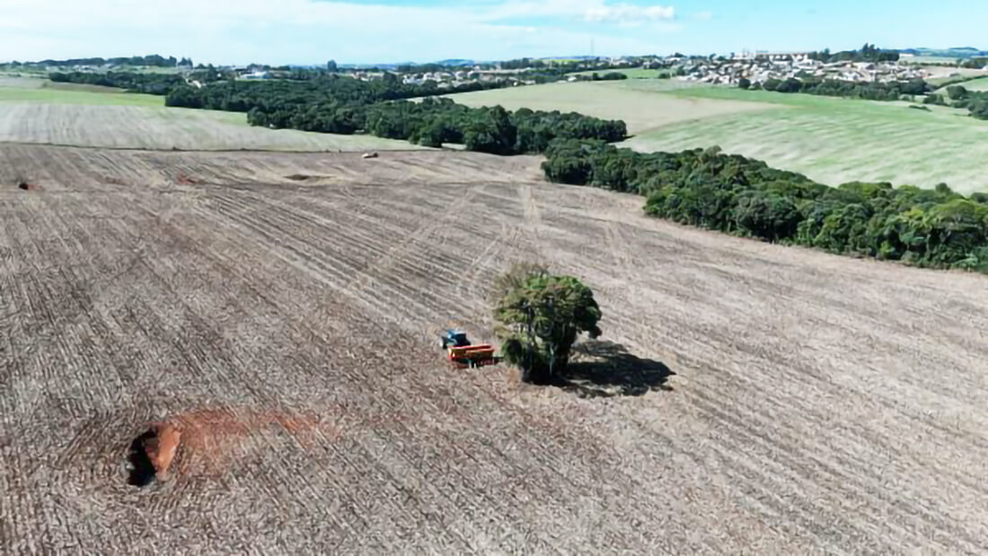 Capa Produtores gaúchos preparam plantio das culturas de inverno