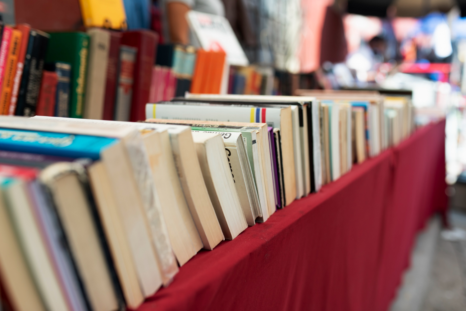 Capa Feira do Livro de Rodeio Bonito começa hoje com cortejo cultural e lançamento de livro