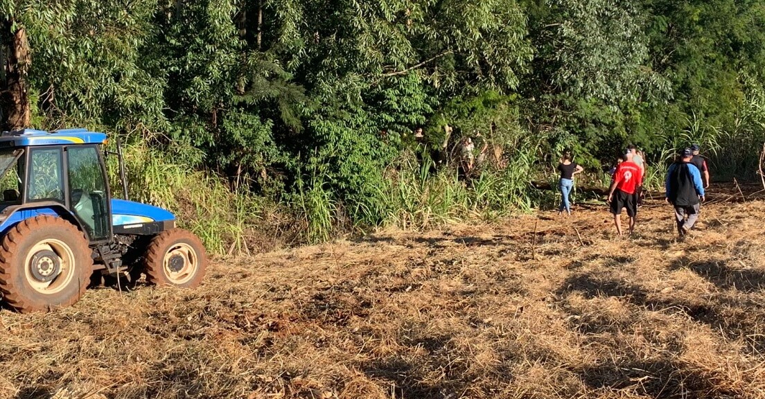Capa Humaitá: homem morre após ser atingido por árvore no interior