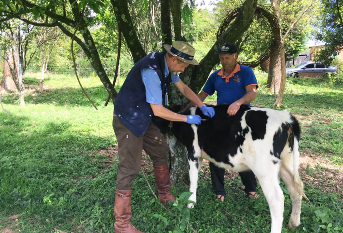 Capa Dia do Veterinário: o papel essencial dos profissionais no cuidado e bem-estar dos animais