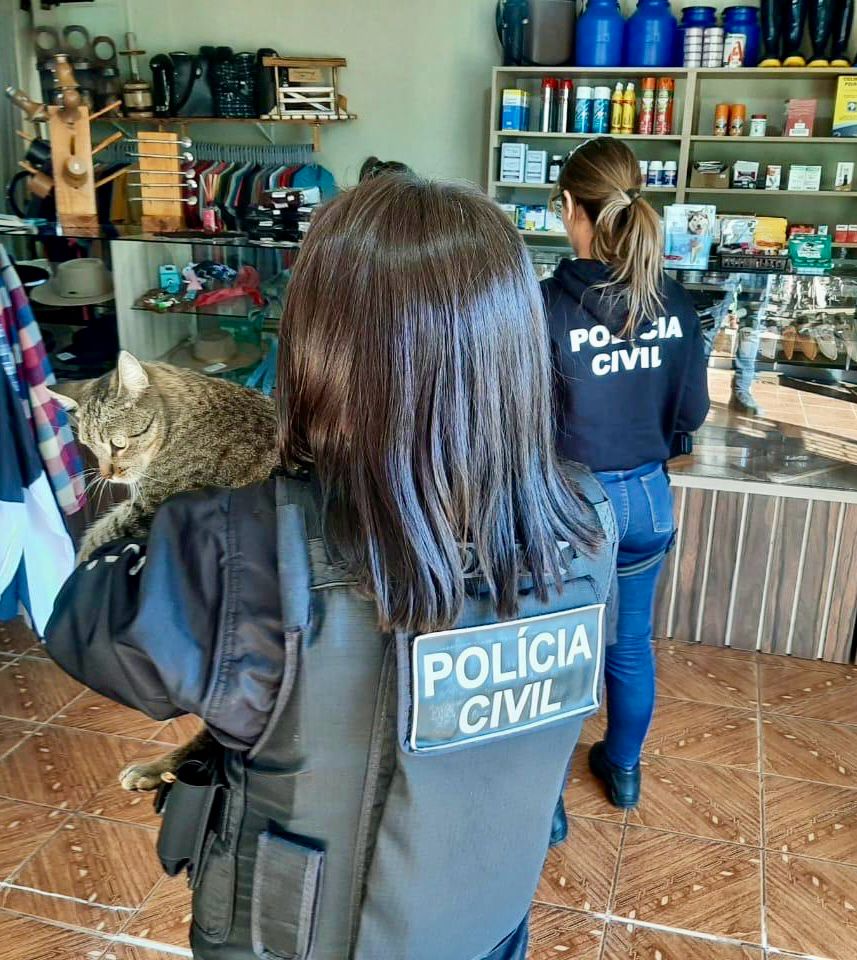 Capa Polícia Civil investiga os casos de envenenamento de cães e gatos em Palmeira das Missões