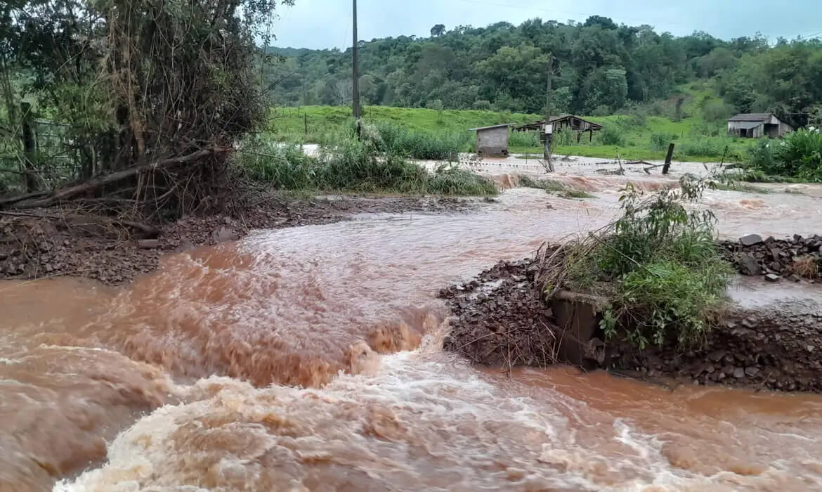Capa 'Tragédia sem precedentes no campo', dizem pequenos agricultores do RS