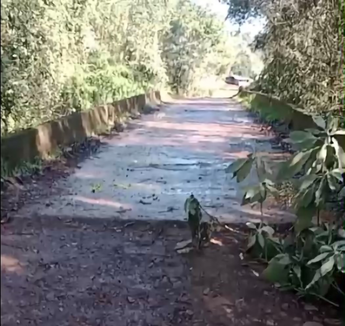 Capa Ponte entre Frederico Westphalen e Vista Alegre é interditada por risco de rompimento em Linha Pardinho