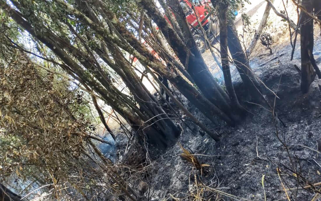 Capa Bombeiros Voluntários atendem ocorrência de incêndio em Miraguaí
