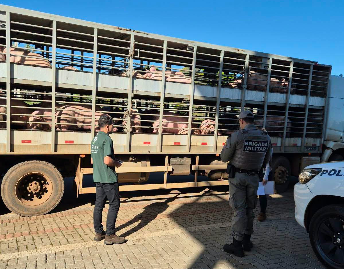 Capa Ação integrada combate a clandestinidade e orienta sobre segurança alimentar em Frederico Westphalen