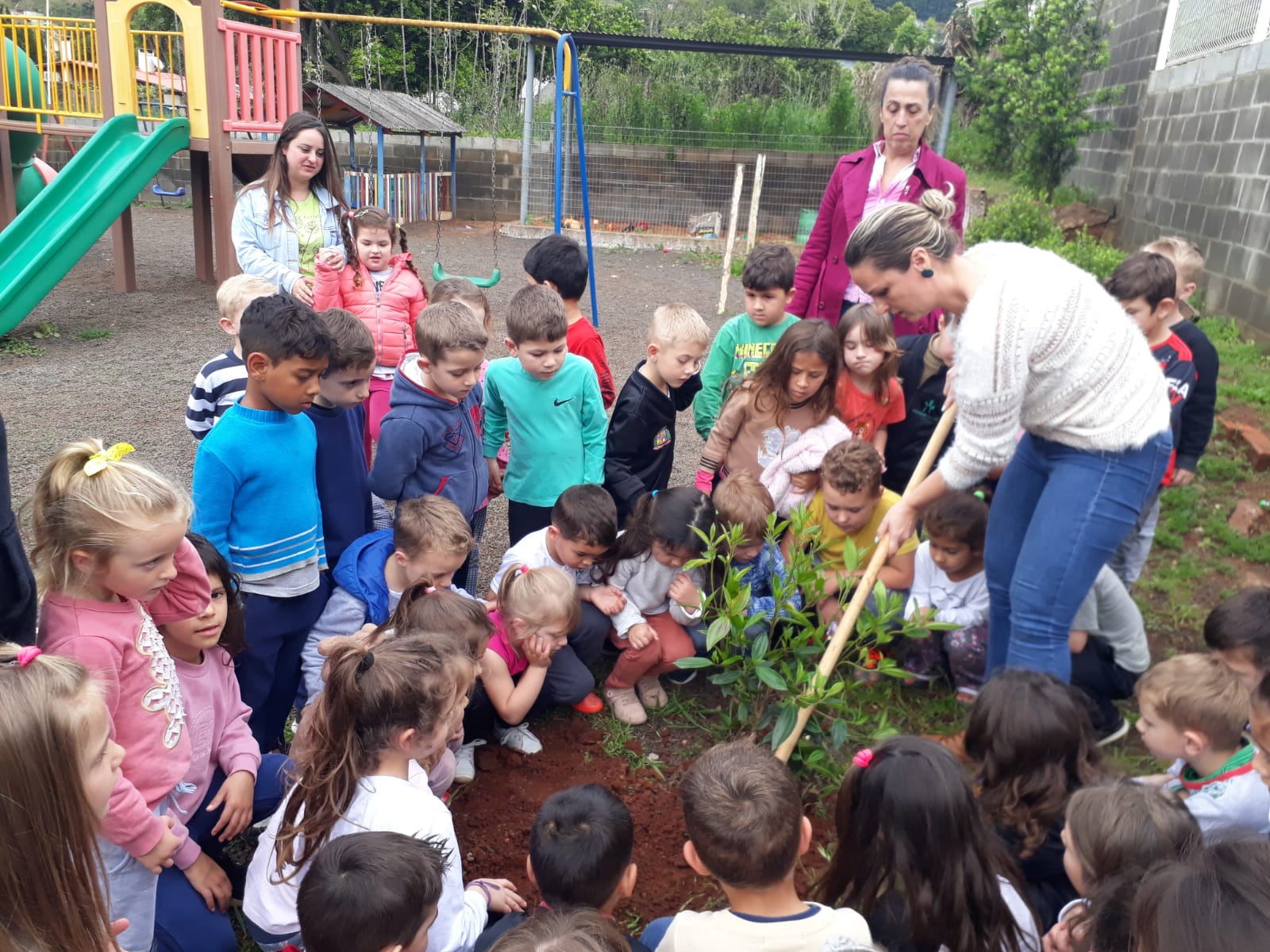 Capa Sicredi lança Movimento de Voluntariado no Dia de Cooperar
