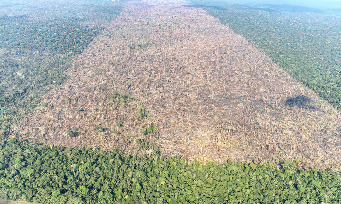 Capa Desmatamento na Amazônia cai 30,6% e atinge menor nível em 9 anos
