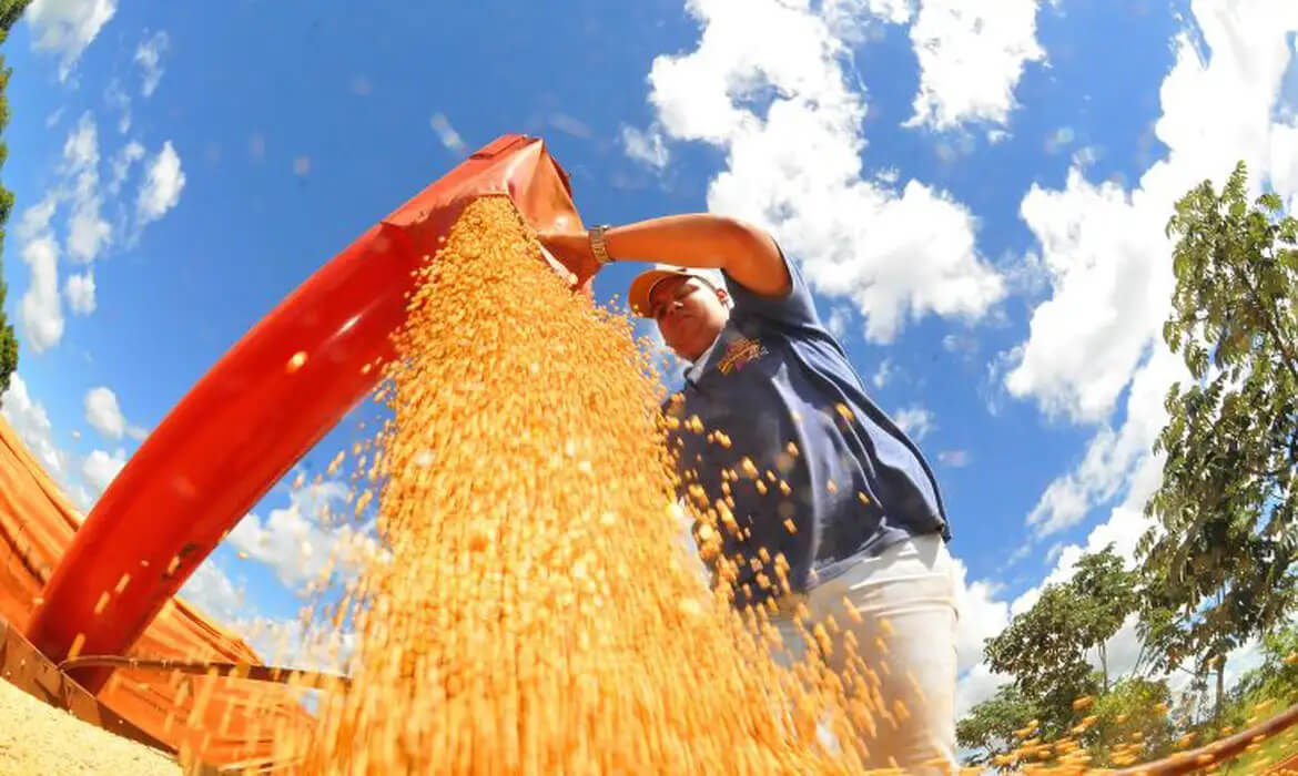 Capa Safra deve recuar 3,7% em 2026, depois de um 2025 recorde