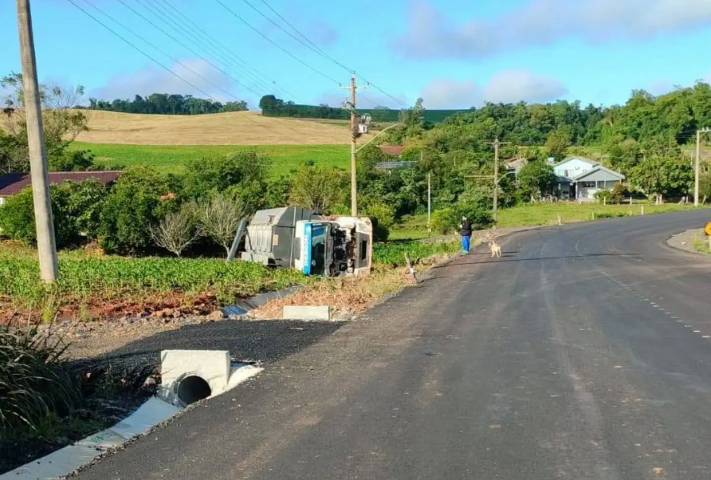 Capa Caminhão carregado com ração tomba entre Crissiumal e Três Passos