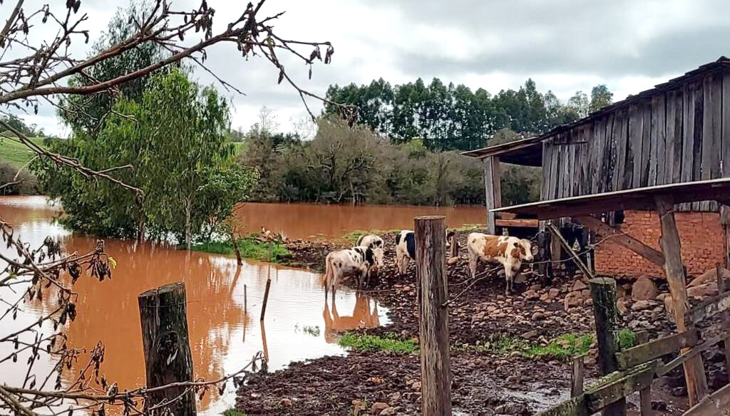Capa Enchentes causaram a morte de quase 30 mil animais no RS