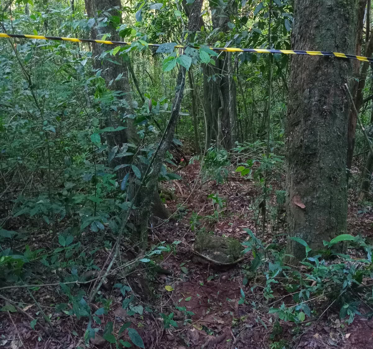 Capa Casal é preso suspeito de homicídio no interior de Três Passos