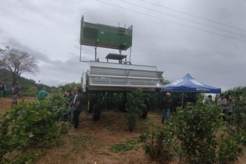 Capa Comitiva de Palmeira das Missões acompanha Dia de Campo sobre a Erva-Mate em Espumoso