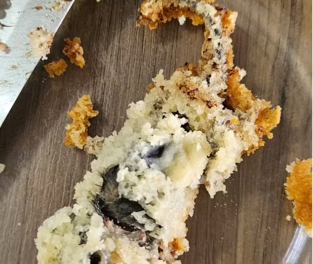 Capa Proprietária de confeitaria é presa em flagrante após cliente encontrar rato em bolo no RS