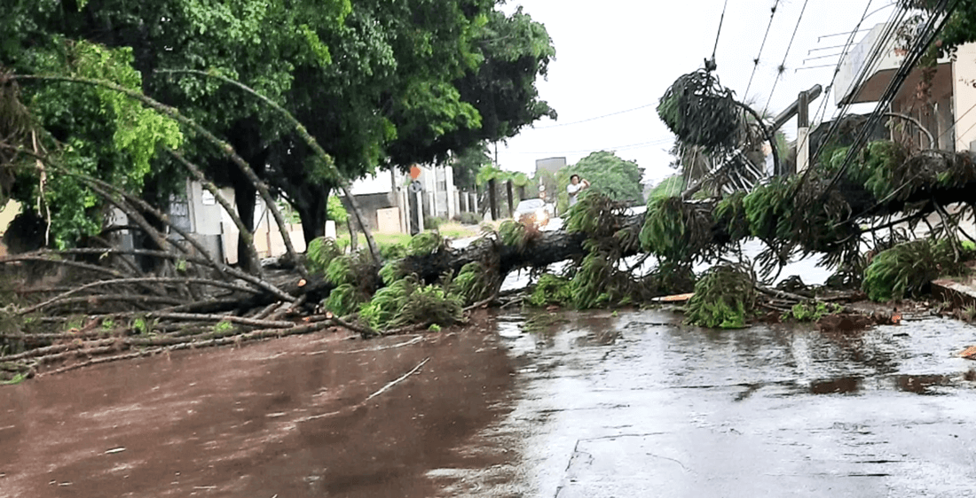 Capa Temporal causa estragos e transtornos em cidades da região