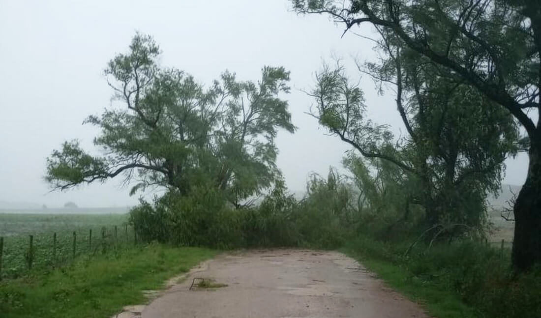 Capa Cidades da Fronteira Oeste e da Campanha registram ocorrências por chuva forte, granizo e vendaval