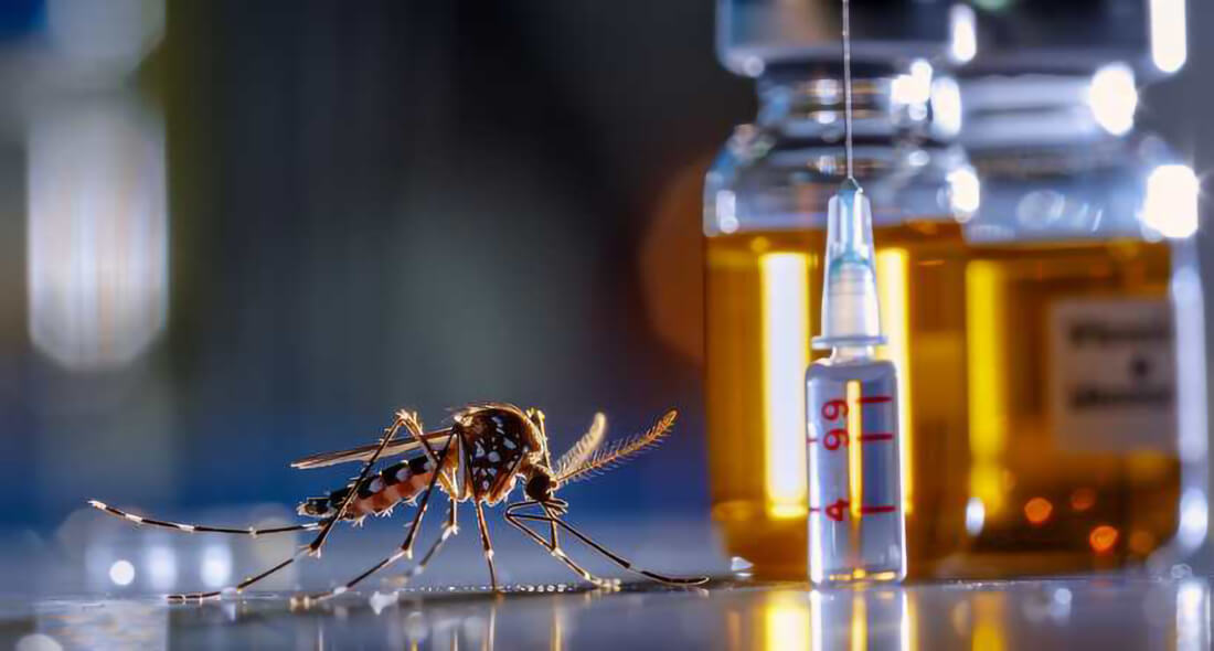 Capa Rio Grande do Sul receberá primeiro lote da vacina brasileira contra a dengue na próxima semana