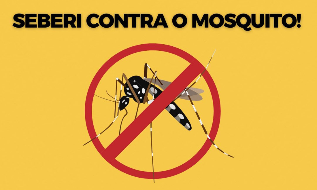 Capa Administração de Seberi desenvolve campanha de conscientização no combate à Dengue
