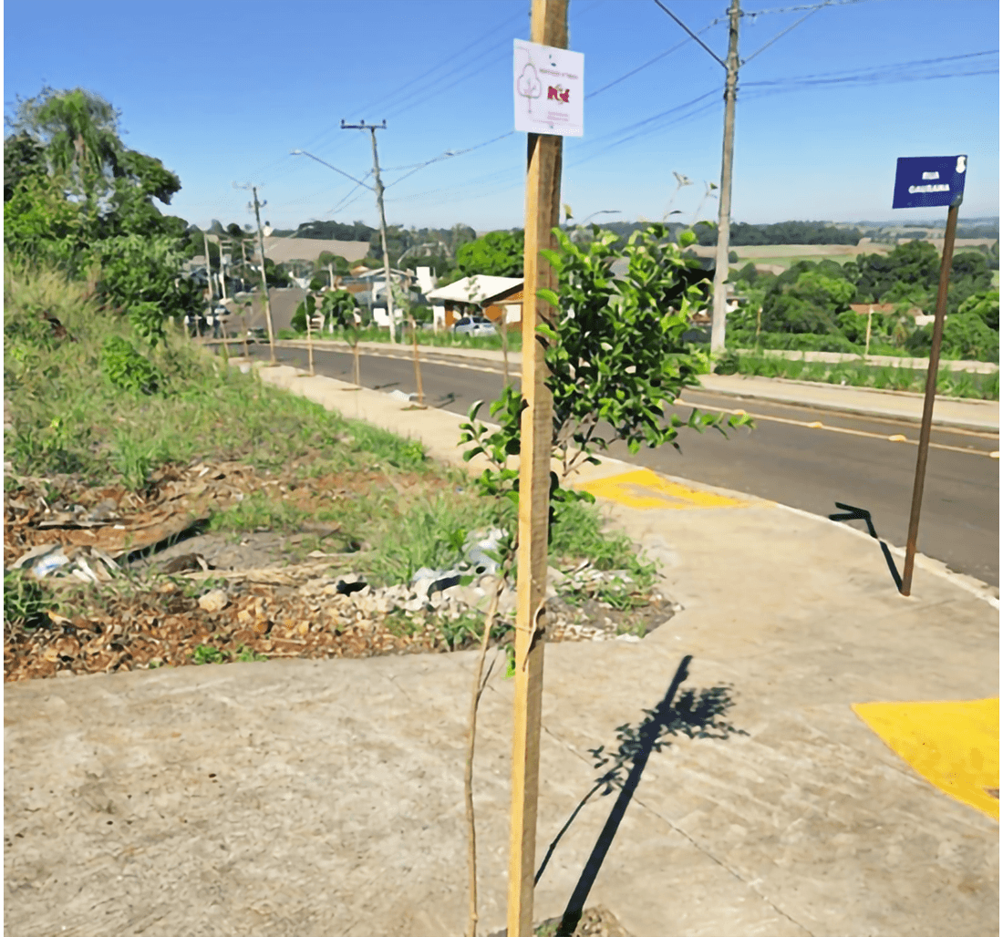 Capa Tenente Portela recebe 300 árvores em nova etapa do Programa Arborização + Segura