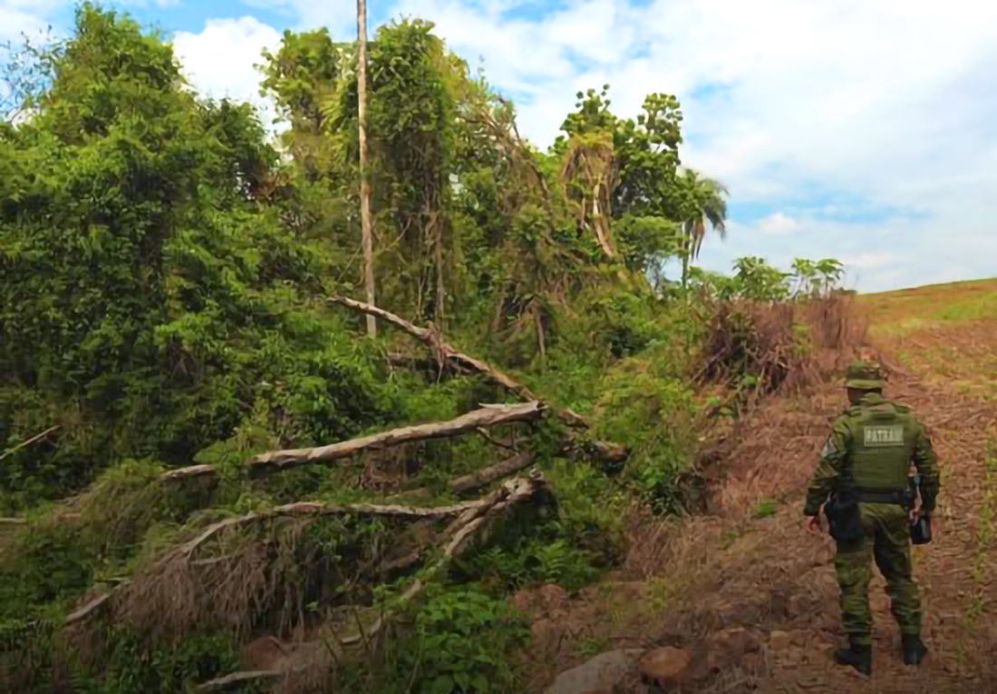 Capa Brigada Ambiental flagra desmatamento em Seberi e Erval Seco