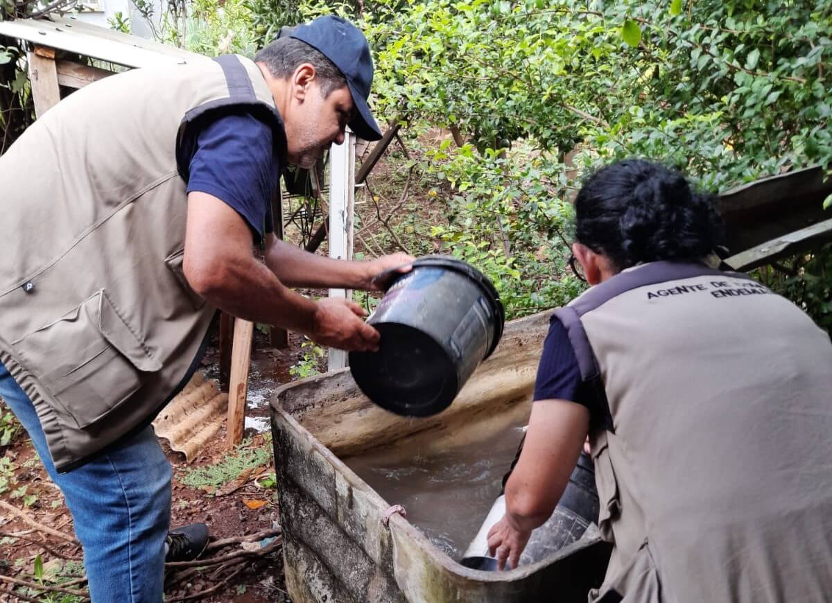 Capa Governo RS reconhece situação de emergência em razão da dengue em Frederico Westphalen