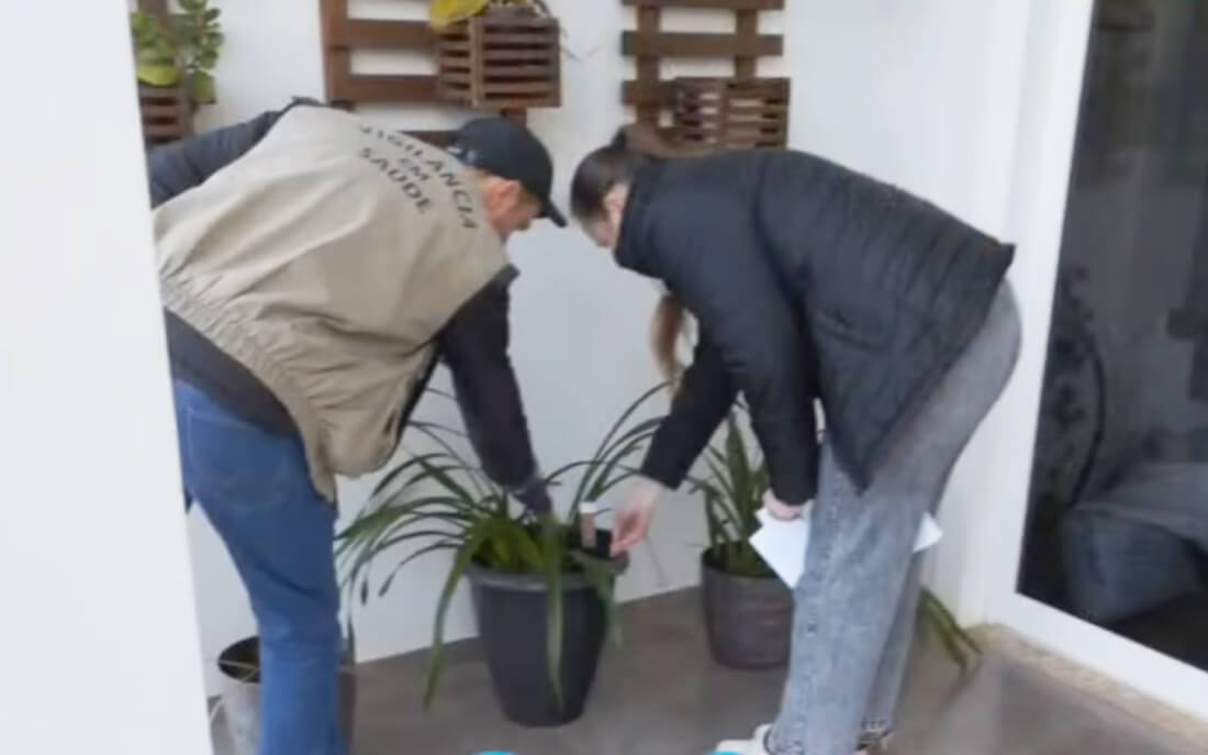 Capa Planalto instala 39 ovitrampas para monitorar mosquito Aedes aegypti