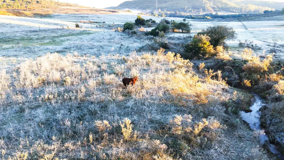 Capa Frio intenso dá lugar a calor de 30°C no fim de semana no RS