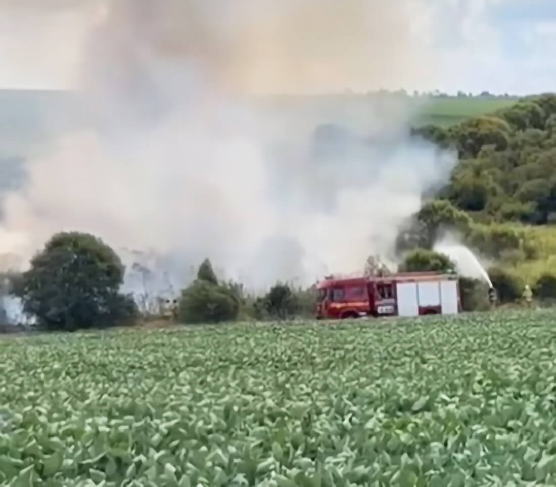Capa Incêndio atinge lavoura de soja em Palmeiras das Missões