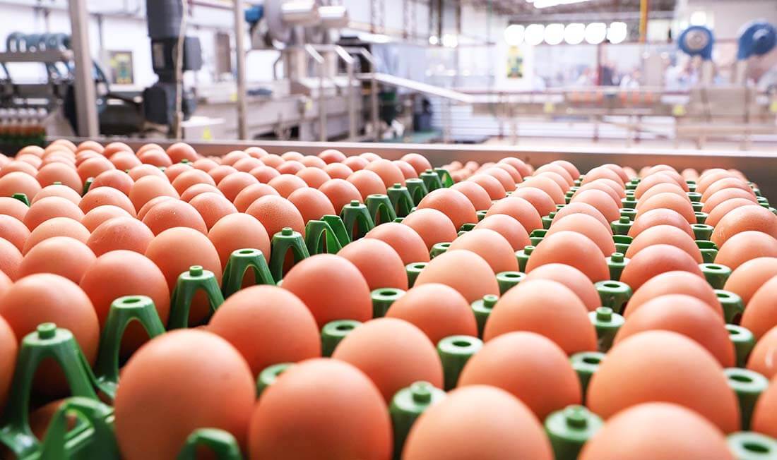 Capa Banco Central aponta arrefecimento em preços de carne e ovos, mas mantém alerta sobre inflação
