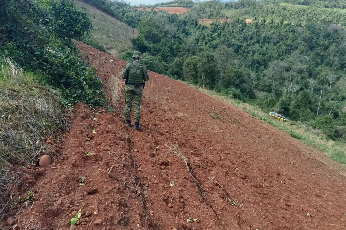 Capa Polícia flagra mais de 100 mil m² de desmatamento na região