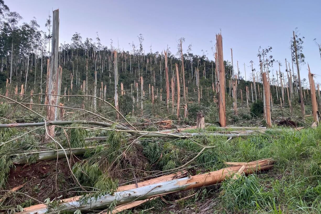 Capa Defesa Civil do RS confirma passagem de tornado em Erval Grande