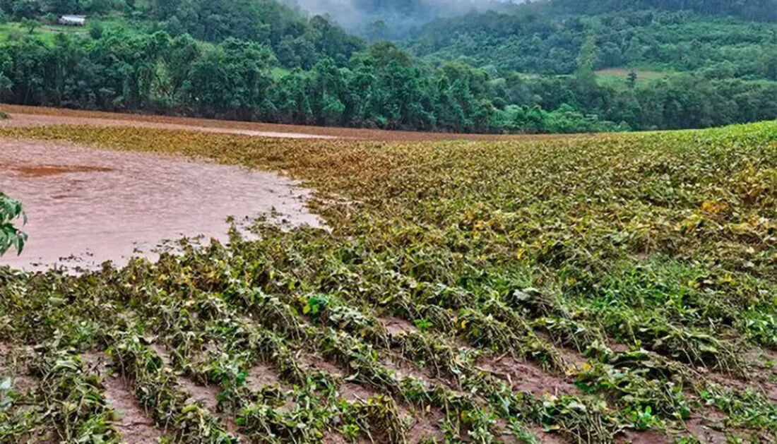 Capa Governo federal libera R$ 20 milhões para o programa Recupera Rural RS