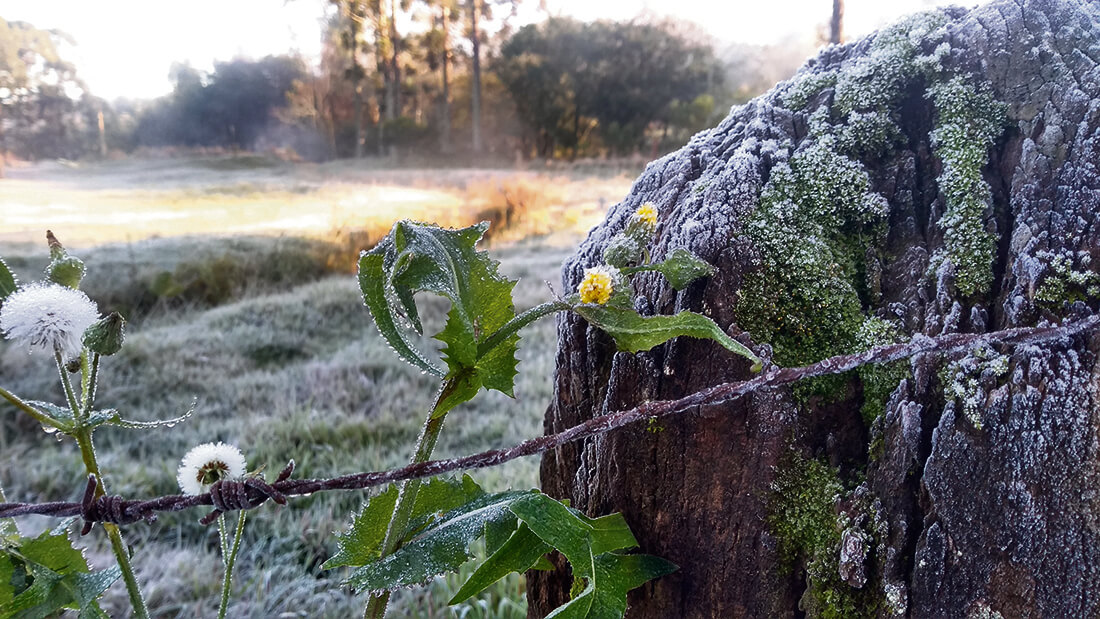 Capa Inmet alerta para onda de frio com possibilidade de neve no Rio Grande do Sul