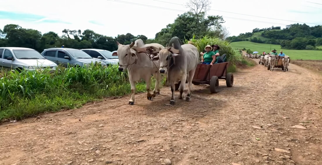 Capa Quarta Carreteada da Amizade atrai grande público e celebra tradição em Seberi