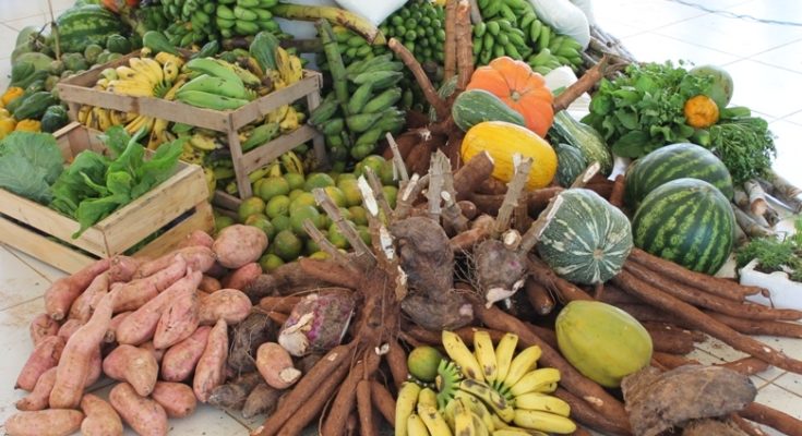 Capa Guatambu abre chamada pública para compra de produtos da agricultura familiar
