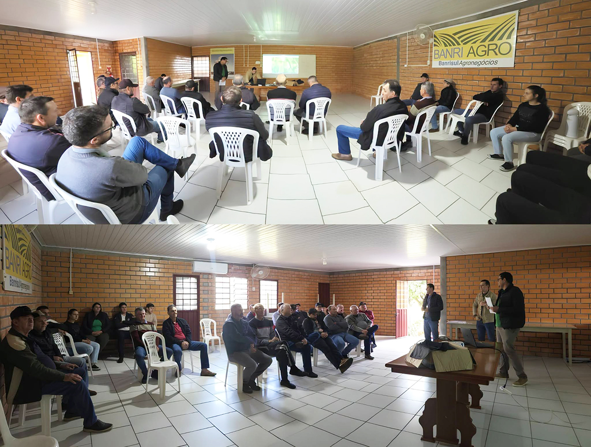 Capa Conselho Municipal Agropecuário de Caiçara avalia propostas de Crédito Fundiário e distribuição de caixas d’água