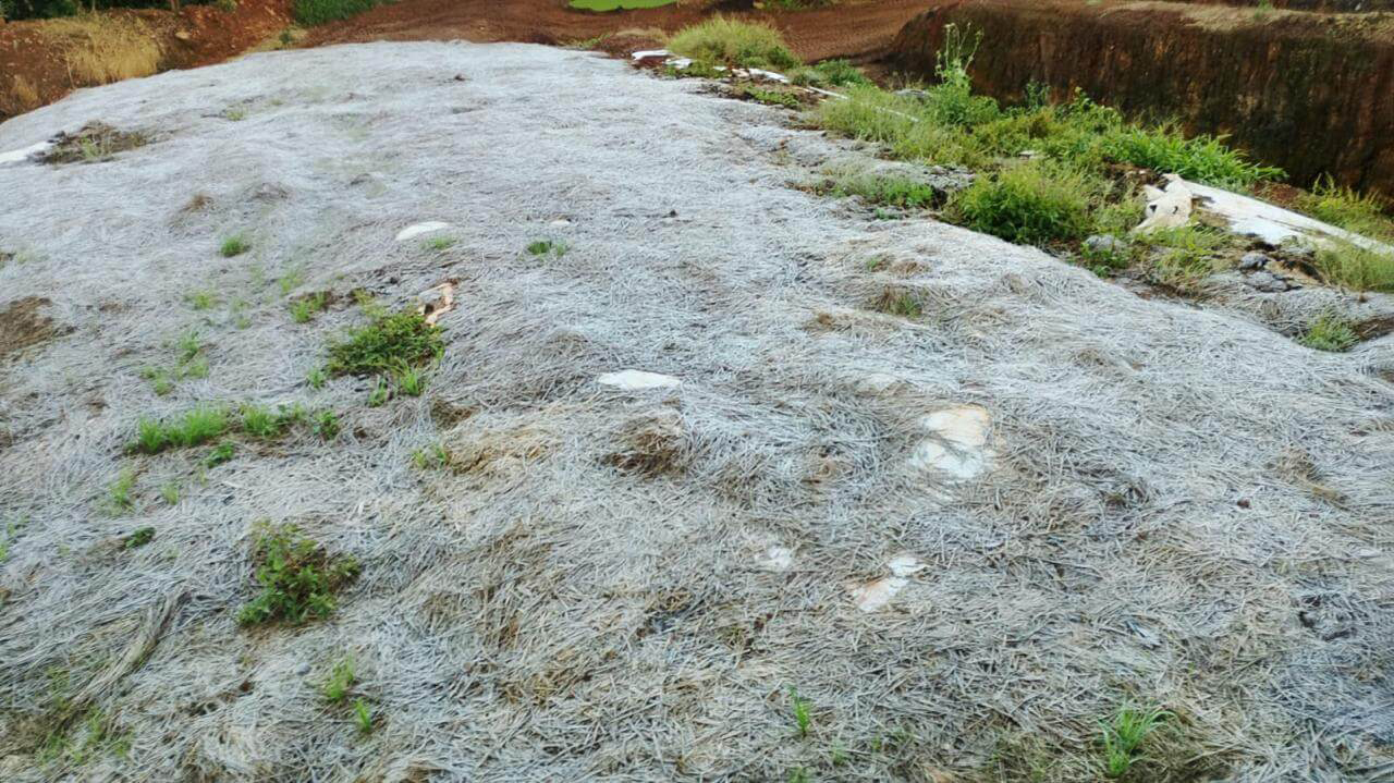 Capa Nonoai registra temperatura de 1,8ºC e geada em manhã de frio intenso