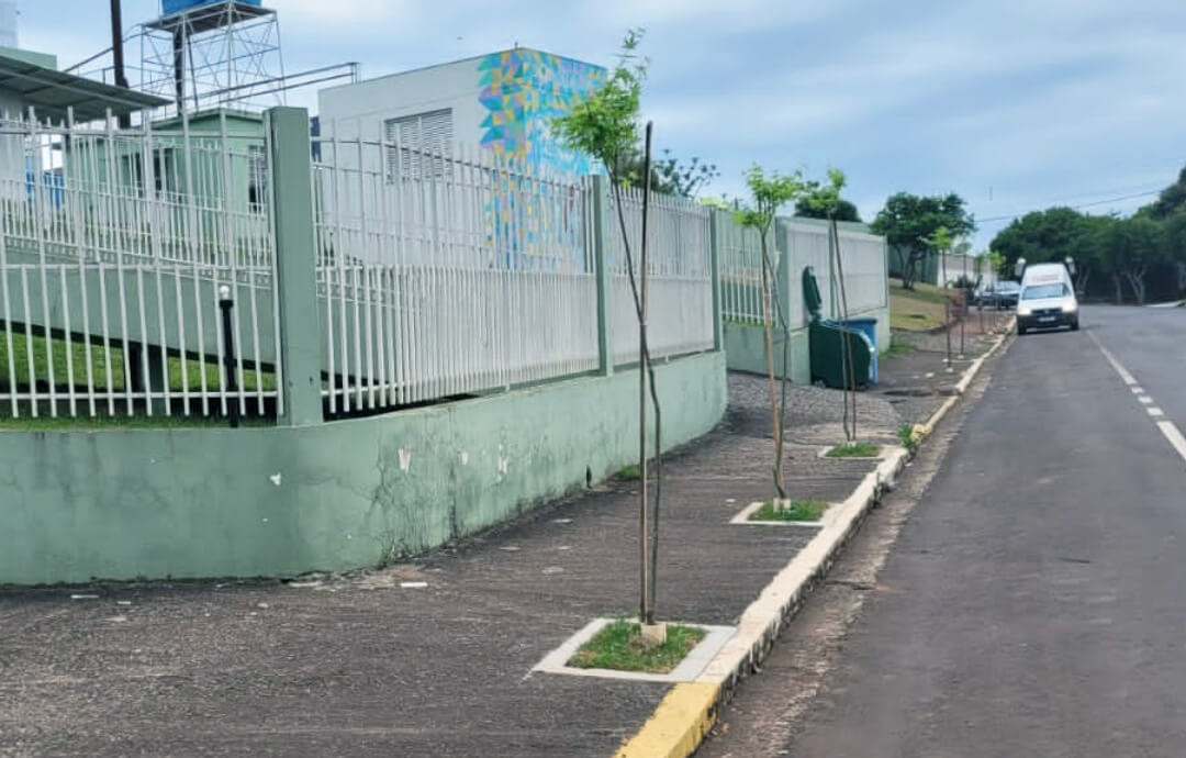 Capa Programa Arboriza Frederico executa melhorias no paisagismo do município