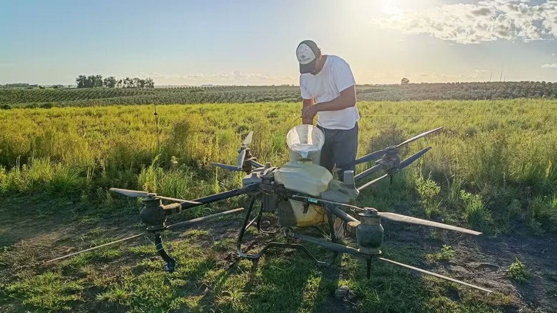 Capa Pesquisa gaúcha utiliza drones para aplicar controle biológico contra o carrapato bovino
