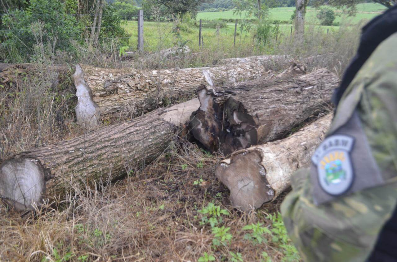 Capa 3º BABM flagra destruição de vegetação nativa em Taquaruçu do Sul