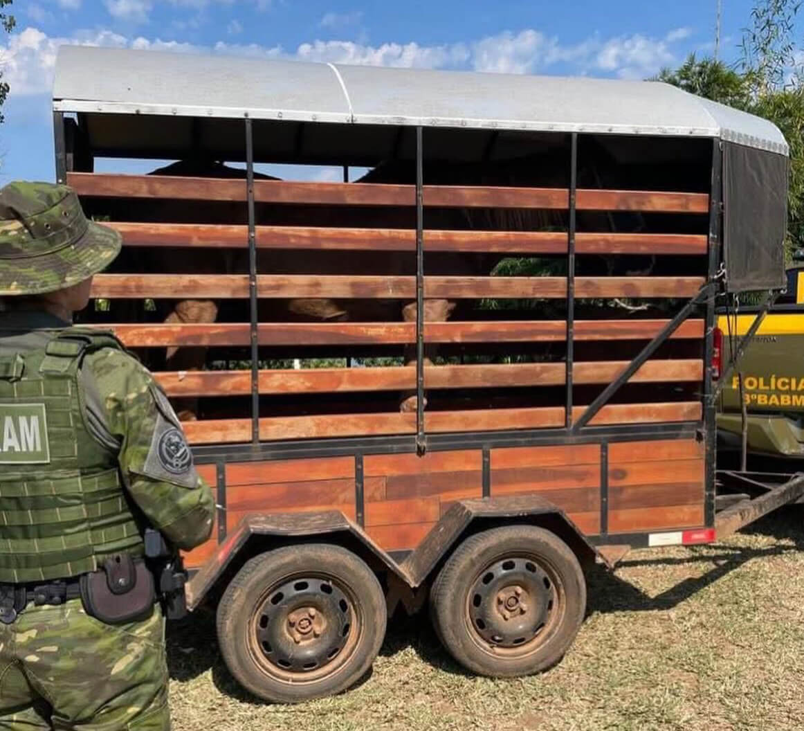 Capa Fiscalizações em Frederico Westphalen e Iraí resultam em autuações por maus tratos a animais